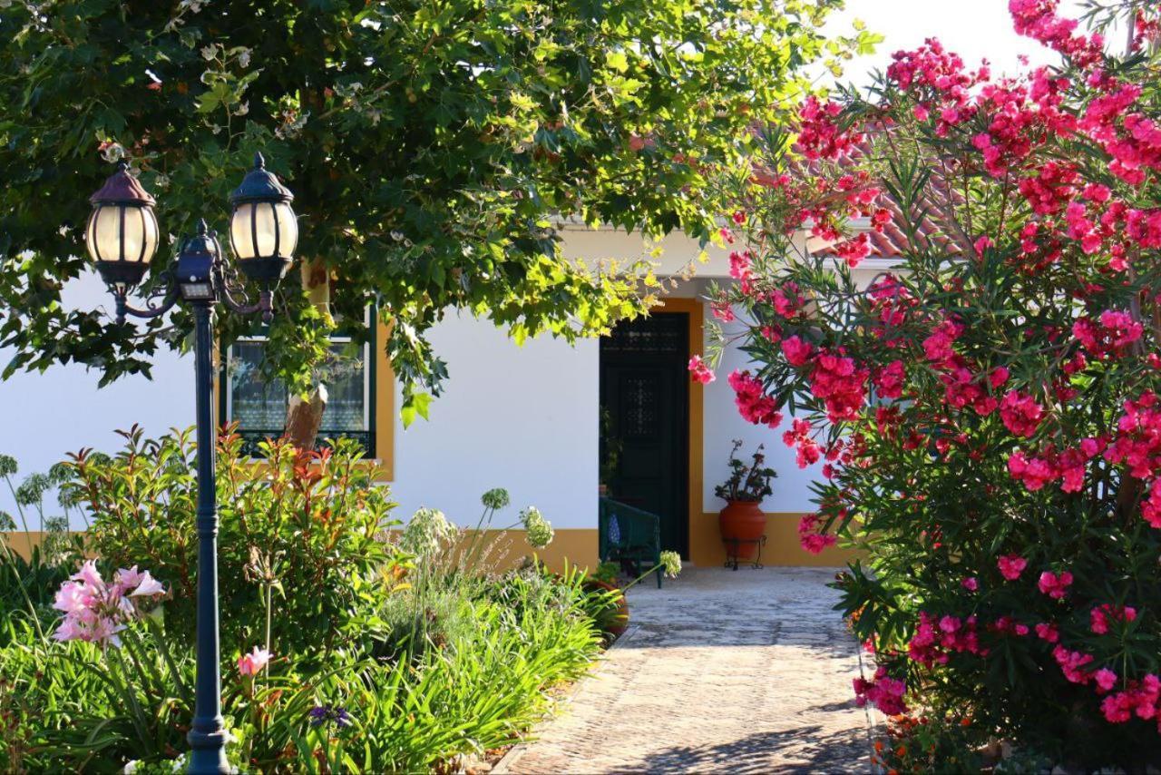 Gasthaus Casa Robusto Salvaterra de Magos Exterior foto